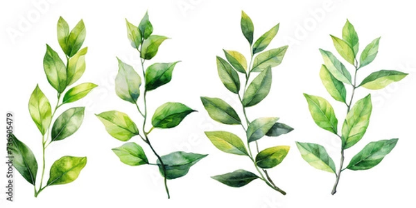 Fototapeta Set of Watercolor Tropical spring green leaves elements set isolated on transparent background, bouquets greeting or wedding card invitation, decoration clip art mock up.