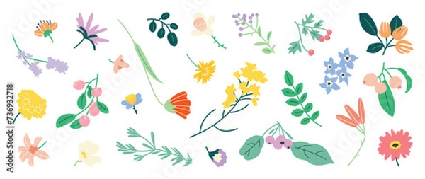 Fototapeta Collection of spring colorful flower elements vector. Set floral of wildflower, leaf branch, foliage on white background. Hand drawn blossom illustration for decor, easter, thanksgiving, clipart.