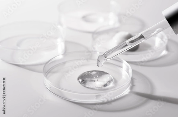 Fototapeta Petri dish and dropper on white background. Dripping gel.