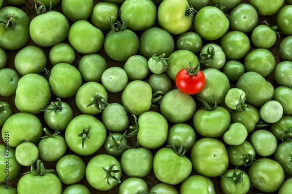 Obraz Odd One Out? Business Concept - different, original, standing ou