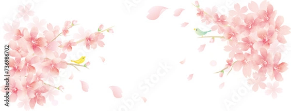 Fototapeta 春の花　桜のベクターイラスト
spring flowers　background