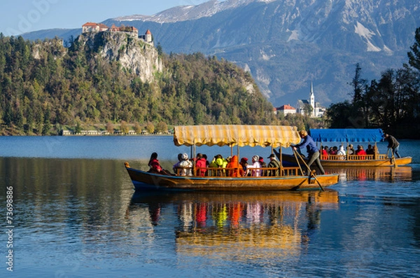 Fototapeta Pletna boats on the way to the Island on Lake Bled