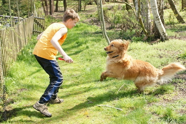 Obraz hund junge bewegung