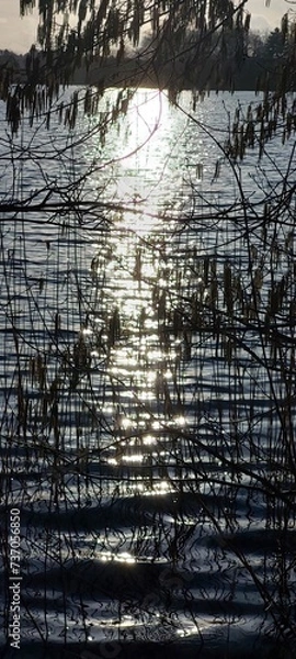 Fototapeta reflection in water