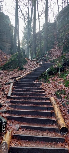 Obraz Weg in den Bergen 