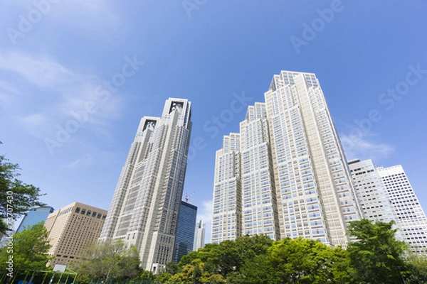 Obraz 新緑と青空の東京都庁と新宿高層ビル街