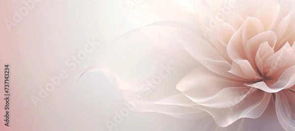 Fototapeta Dahlia bud in sheer organza in powder pink with space for text.