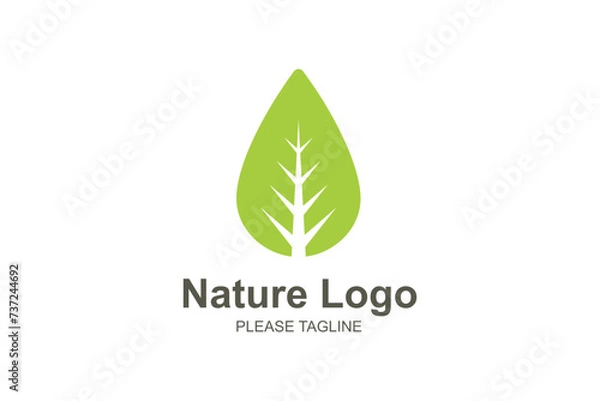 Obraz Nature Logo Based Abstract Creative Geometric