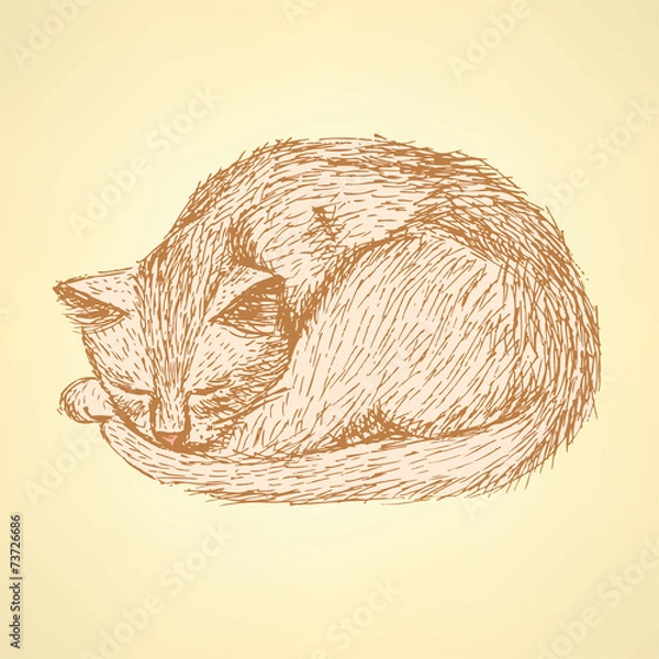 Fototapeta Sketch sleeping cat t in vintage style