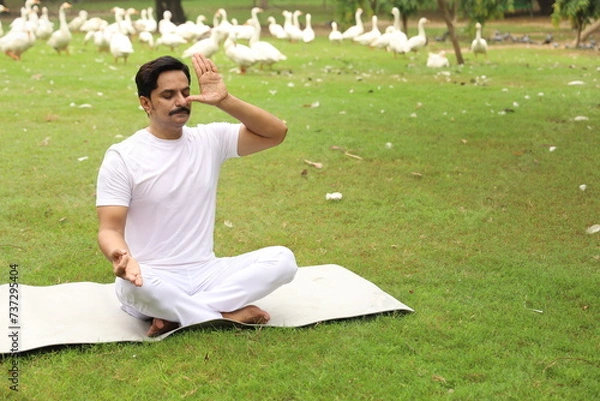 Obraz Happy Indian man doing yoga early morning in a tranquil environment surrounded with lush green serene atmosphere. high concentration level.  Anulom vilom 