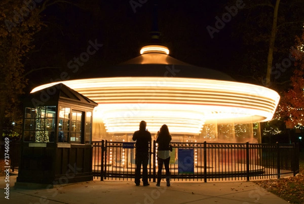 Obraz Carousel at Night