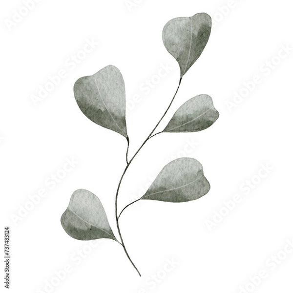 Obraz Watercolor spring leave on white background