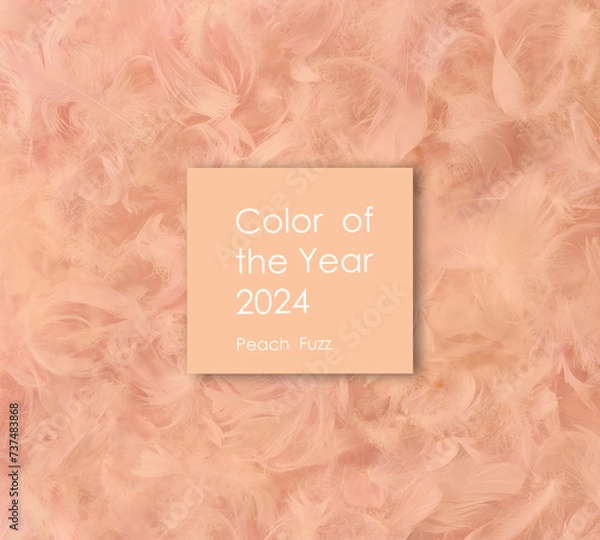 Fototapeta Trendy peach fur texture. Abstract apricot structure background. Color of the year 2024 Peach Fuzz. 3D Illustration
