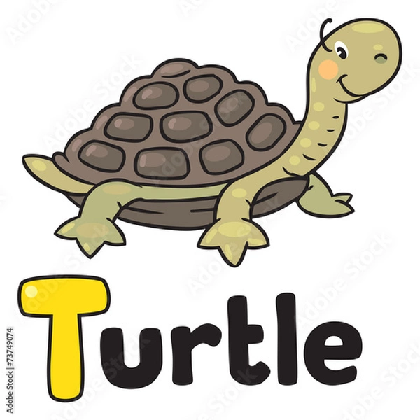 Fototapeta Little funny turtle, for ABC. Alphabet T