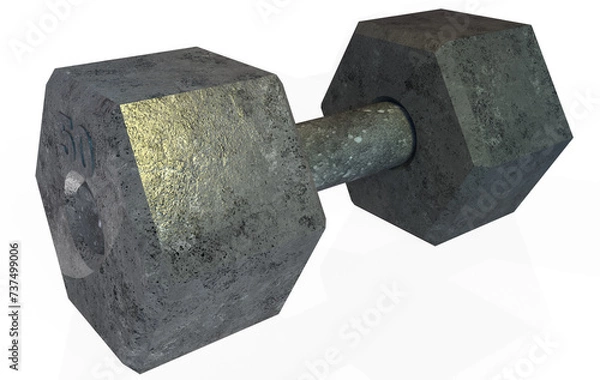 Obraz Dumbbell