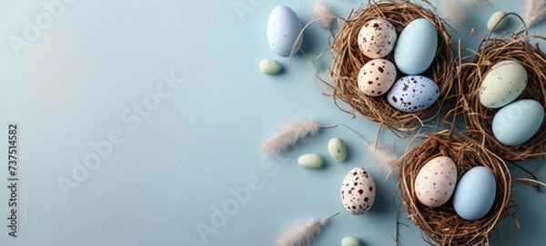 Fototapeta Easter Eggs Nestled in Straw on Pastel Blue Background