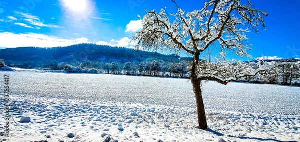 Obraz Osniezone drzewko