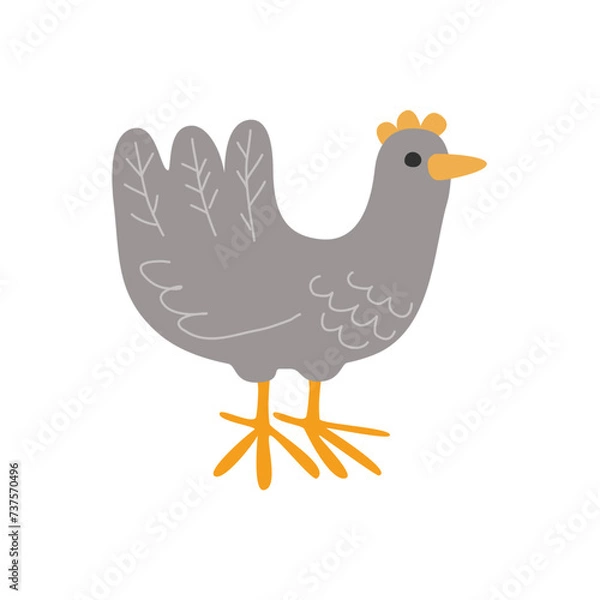 Fototapeta Cute gray chicken, simple and cartoonish. Vector image.