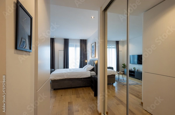 Obraz Modern apartment interior with large mirrors