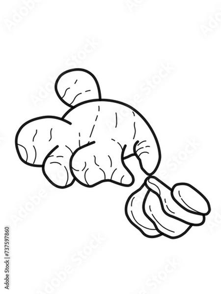 Fototapeta ginger vector sketch