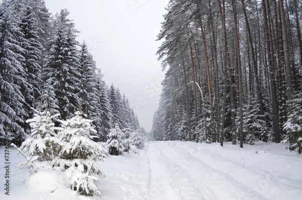 Obraz Опять зима