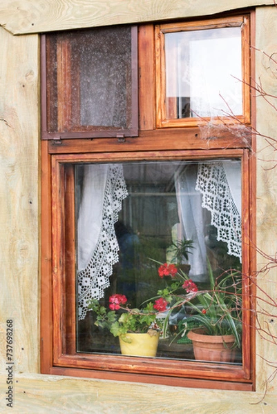 Obraz Vintage window in a wooden, rural house. There are flower pots with red flowers and white curtains with lace on the window. Stylization.