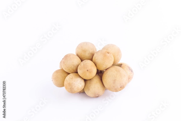 Fototapeta Wollongong on white background