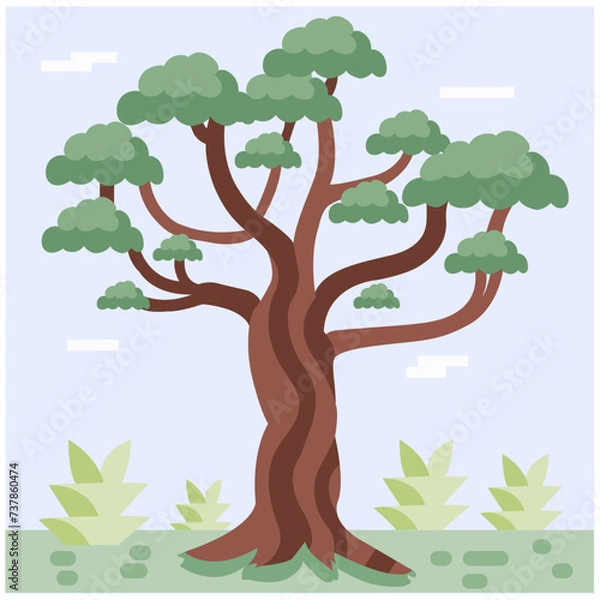 Fototapeta Dragon tree flat vector illustration template