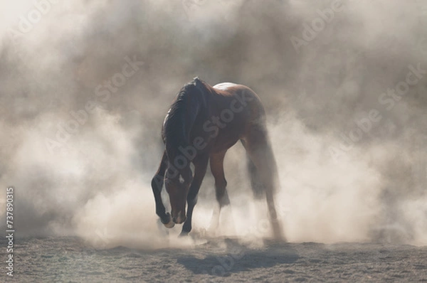 Obraz person in the fog