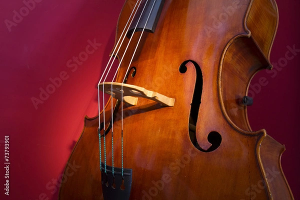 Obraz Double bass