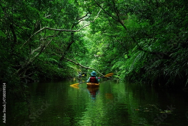 Obraz 沖縄県西表島　緑のトンネルを抜けるシーカヤック