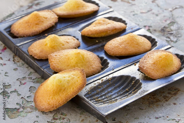Fototapeta Madeleines à la vanille