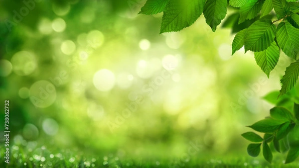 Fototapeta Green leaves framing a stylish natural bokeh background. Ideal as copy space. The beauty of nature as a graphic design concept. 