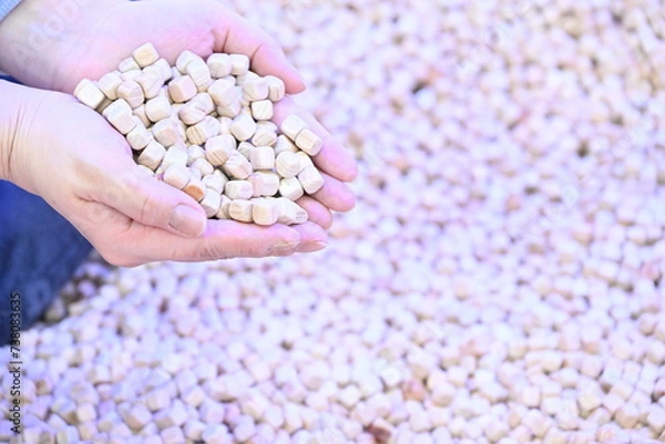 Obraz 편백 장난감 