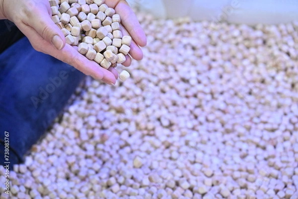 Obraz 편백 장난감 