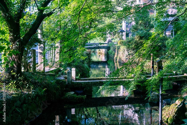 Fototapeta 日本の石橋