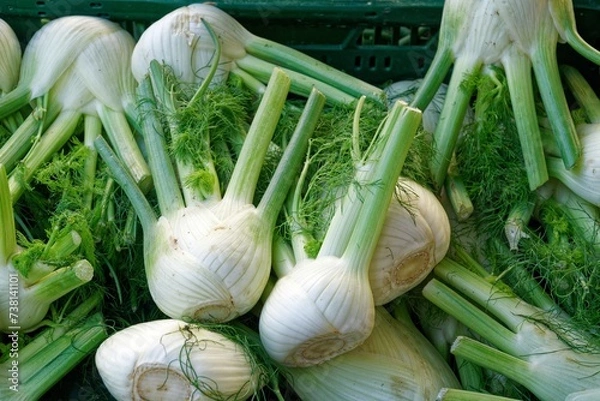 Obraz Fenchelknollen in einer Kiste