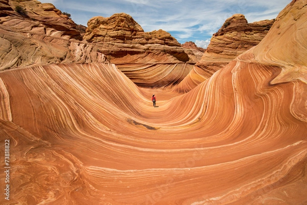 Obraz The Wave, Arizona
