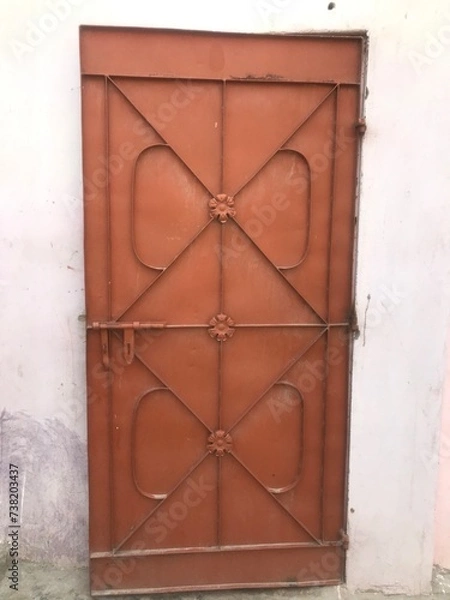 Obraz House door 