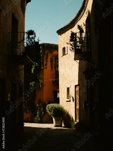 Obraz castle in the sunset
