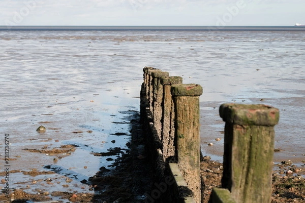 Obraz Wooden wave breakers on the beach during low tide