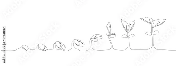 Fototapeta Continuous single line drawing infographic about planting and growth stage of a plant . Seeds sprouting in the ground. Icons Sprouts, plants, trees are growing . Single line vector illustration