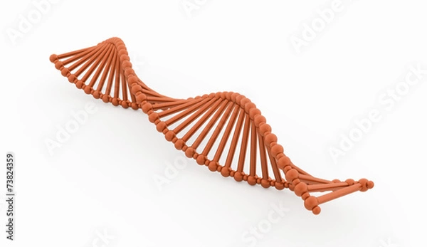 Obraz DNA concept orange isolated