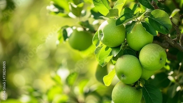 Fototapeta Tempting Harvest: Apples You'll Crave at First Sight