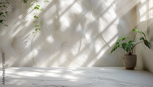 Fototapeta White rough plastered stone wall with shadows in the sunlight as a background