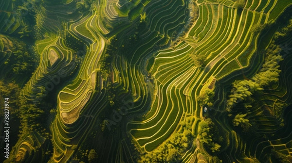 Fototapeta Aerial view of terraced fields in a rural landscape