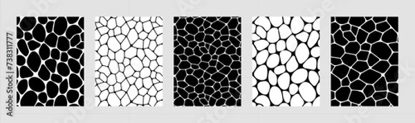 Fototapeta Black and white voronoi backgrounds vector set. Irregular geometric cells backdrops. Stones template covers collection for web tiles and brochures, science cards and interior designs.