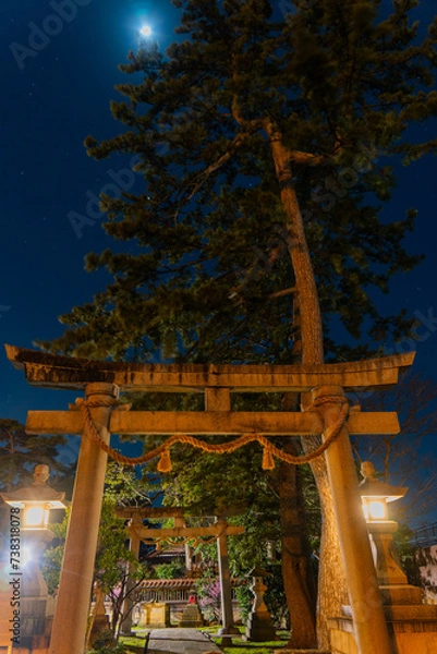 Obraz 夜の神社の鳥居と月