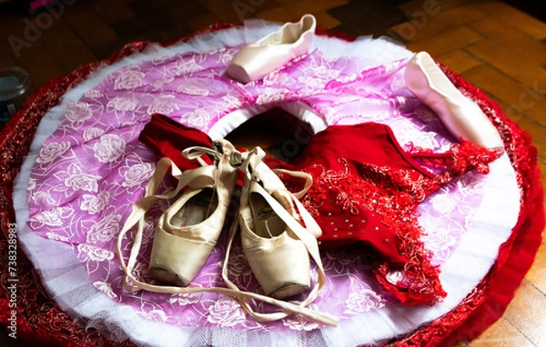 Obraz Ballet clássico