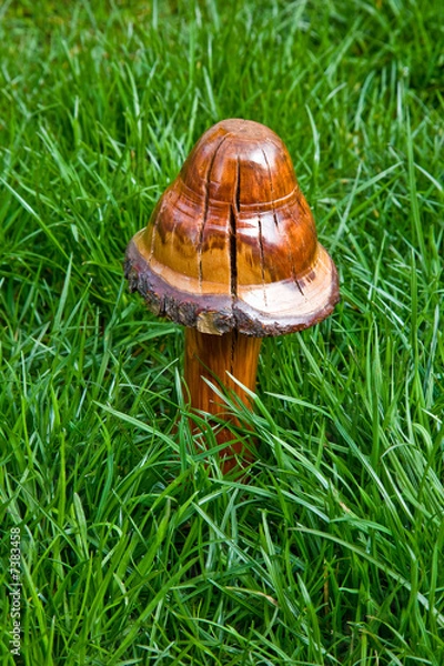Obraz Wooden Mushroom